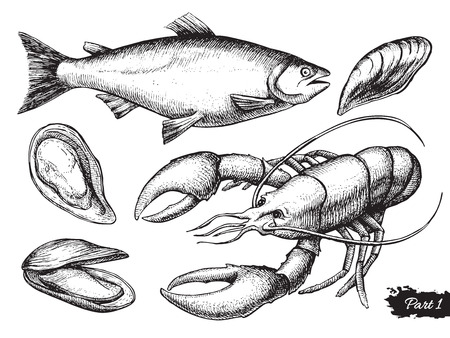 Vector hand drawn seafood set. Vintage illustrationのイラスト素材