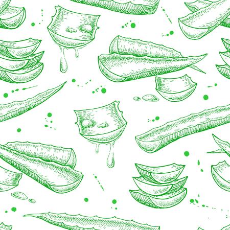 Vector seamless hand drawn botanical Aloe Vera pattern. Engraved illustration.のイラスト素材