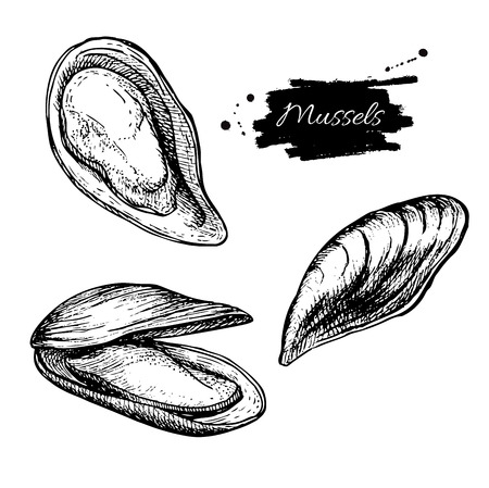 Vector vintage mussel set drawing. Hand drawn monochrome seafood illustration. Great for menu, poster or label.のイラスト素材