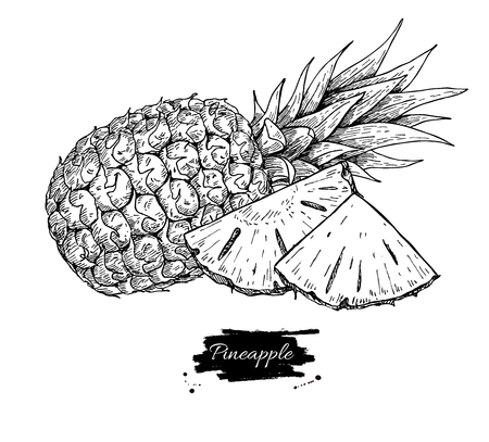 Vector hand drawn pineapple and sliced pieces.のイラスト素材