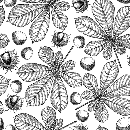 Seamless vector pattern with autumn leaves. Chestnut leaf and nuts drawing. Hand drawn detailed botanical background. Vintage fall seasonal decor.のイラスト素材