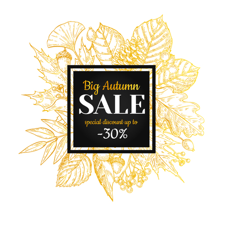 Autumn sale vector gold banner with leaves and berry. Hand drawn fall  illustration with frame and botanical elements. Great for poster, banner, voucher, offer, coupon, black friday sale.のイラスト素材