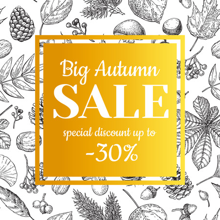 Autumn sale vector banner with leaves and berry. Hand drawn fall  illustration with frame and botanical elements. Great for poster, banner, voucher, offer, coupon, business promote.のイラスト素材