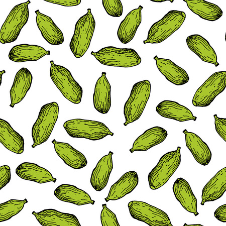 Cardamom vector hand drawn seamless pattern. Isolated spice object. Engraved style seasoning. Detailed organic product sketch. Cooking flavor ingredient.のイラスト素材