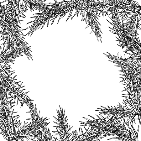 Fir tree hand drawn vector frame for winter and holiday decor. Botanical xmas and new year illustration. Great for greeting card, poster, bannerのイラスト素材