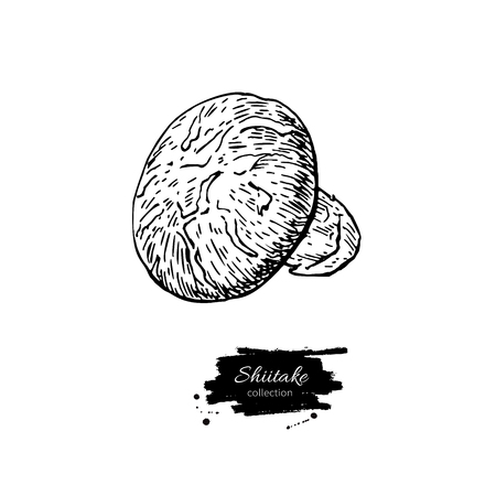 Shiitake mushroom hand drawn vector illustration. Sketch food drawing isolated on white background. Organic vegetarian product. Great  for menu, label, product packaging, recipeのイラスト素材