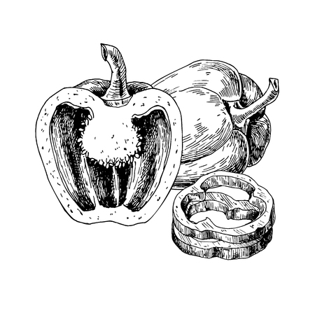 Pepper hand drawn vector illustration. Vegetable engraved style object, full, half and slices. Isolated bell pepper. Detailed vegetarian food drawing. Farm market product. Paprika iconのイラスト素材