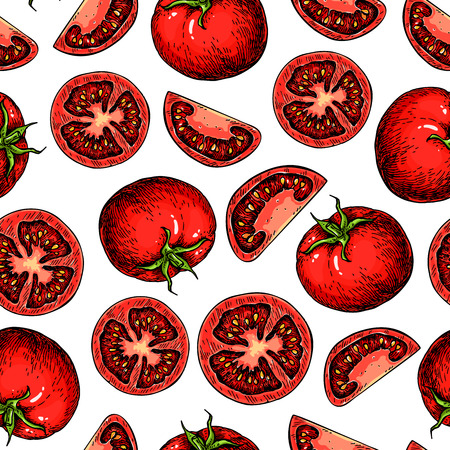 Vector tomato seamless pattern drawing. Isolated tomatoes and sliced pieces. Vegetableのイラスト素材