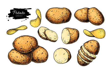 Potato drawing set. Vector Isolated potatoes heap, sliced pieces and chips. Vegetableのイラスト素材