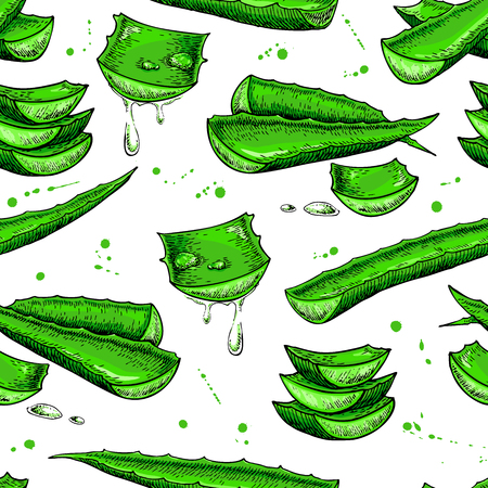 Aloe vera vector seamless pattern. Hand drawn artistic background. Natural cosmetic ingredient. Botanical illustration of plant leaf sliced pieces with drops of juice. Herbal treatment with lemongrassのイラスト素材