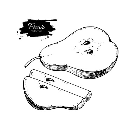 Pear vector drawing. Isolated hand drawn pear and sliced pieces.のイラスト素材