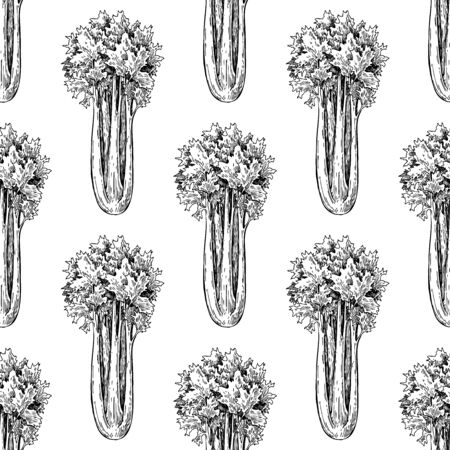 Celery hand drawn vector seamless. Isolated Vegetable engraved style wallpaper. Detailed vegetarian foodのイラスト素材