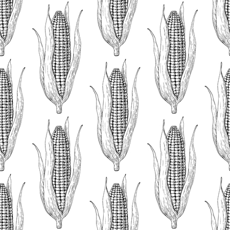 Corn cob hand drawn vector seamless pattern. Isolated Vegetable engraved style wallpaper. Detailed vegetarian food drawing. Farm market product. Great for menu, label, iconのイラスト素材