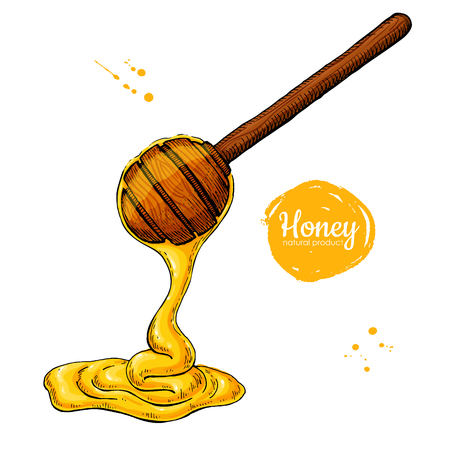 Honey wooden spoon with drop. Hand drawn vector illustration. Artistic style object.のイラスト素材
