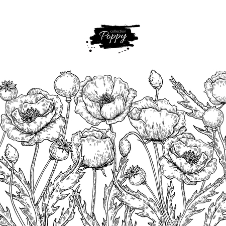 Poppy flower vector drawing set. Isolated wild plant and leaves in bouquetのイラスト素材