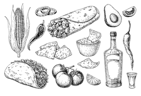 Mexican cuisines drawing. Traditional food and drink vector illustration. Engraved taco, burrito, nachos and tequila bottle, shot. Hand drawn set. Sketch for restaurant menu, label, bannerのイラスト素材
