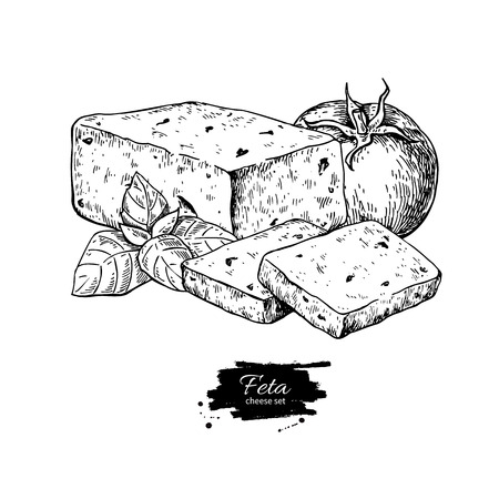 Greek feta cheese block drawing vector hand drawn food sketch.のイラスト素材