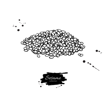 Sesame seed vector drawing. Hand drawn food ingredient. Sketch sのイラスト素材