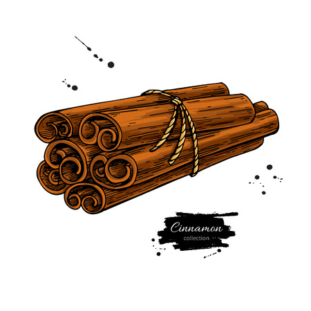 Cinnamon stick tied bunch Vector drawing. Hand drawn sketch.のイラスト素材
