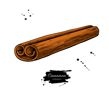 Cinnamon stick vector drawing. Hand drawn sketch.のイラスト素材