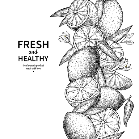 Lemon border vector drawing. Citrus fruit engraved frame templatのイラスト素材