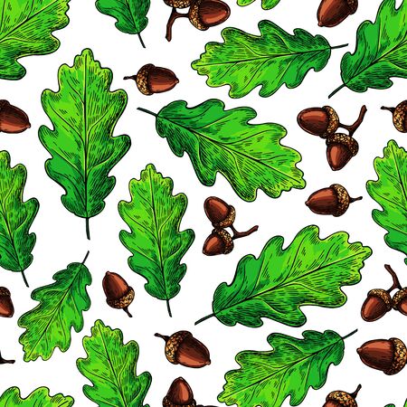 Seamless vector pattern with autumn leaves. Oak leaf and acorn drawing.のイラスト素材