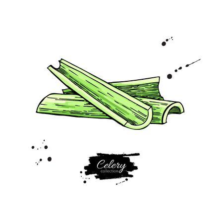 Celery stick hand drawn vector illustration. Isolated Vegetable object.のイラスト素材