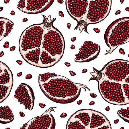 Pomegranate seamless pattern. Vector drawing. Hand drawn tropical fruit background.のイラスト素材