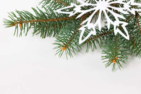 paper snowflake on a fir branch