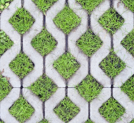 eco-friendly parking of concrete cells and turf grassの写真素材