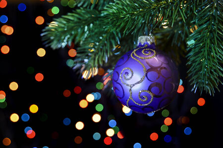 purple Christmas ball hanging on a Christmas tree branch on a black background with colored bokehの写真素材