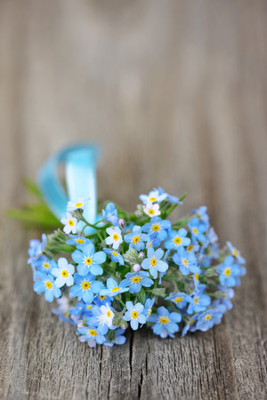 Small bouquet of blue forget-me-not, tied a blue ribbon, on the background of old wooden plankの写真素材