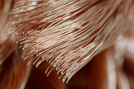 Big pile of copper wire close-upの写真素材