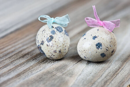 A couple of quail eggs with blue and pink bows on the background of the old wooden boardsの写真素材