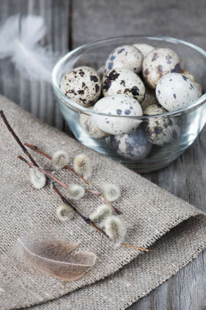 Spotted quail eggs in a glass bowl, rough napkin and fluffy willow twigs on the background of the...