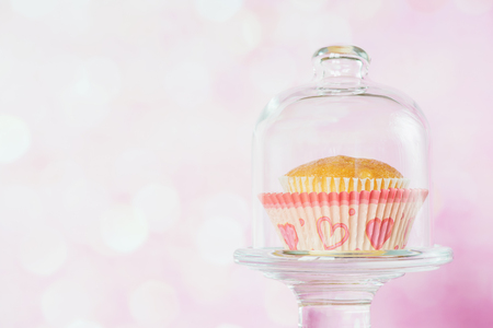 Cupcake covered with a glass cover on a pink background with bokehの写真素材