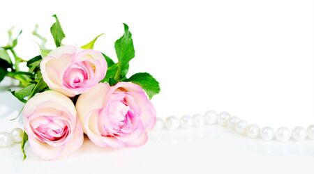 Three roses in drops of dew on a white background with space for textの写真素材