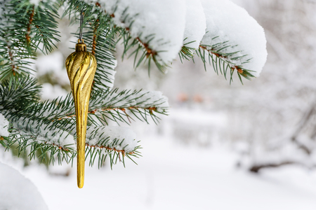 Golden Christmas toy on a fir branch covered with snow outdoorsの写真素材