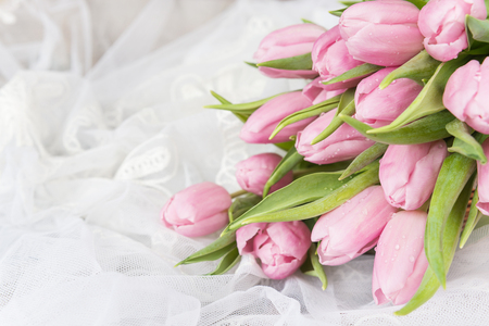 Bouquet of fresh pink tulips flowers covered with dew drops are on lacy textile close-upの写真素材