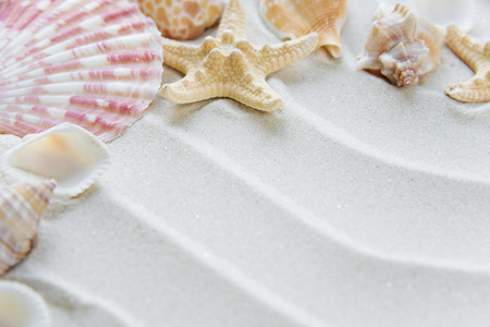 Beautiful frame of clams and starfishes on the background of wavy sea sandの写真素材