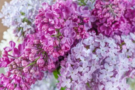 Beautiful wallpaper: lush multicolored bouquet of lilac flowers close-upの写真素材