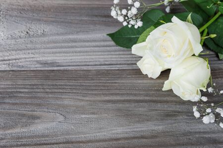 Bouquet of white rose flowers lay on the gray background of old wooden boards, with space for textの写真素材