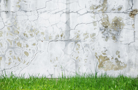 Background of gray crannied wall covered with rough flaking plaster with a border of the green grass at the bottomの写真素材