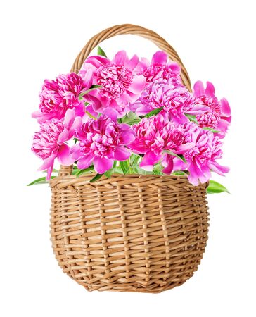 Wattled basket of natural wicker with beautiful summer bouquet of many pink peonies flowers with green leaves, isolated on a white background, front viewの写真素材