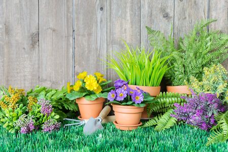 Gardening tools and flowers are on the grass near a wooden unpainted fence. Concept of gardening hobbyの写真素材