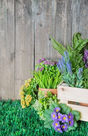 Gardening tools and flowers are on the grass near a wooden unpainted fence. Concept of gardening hobby. Vertical imageの写真素材