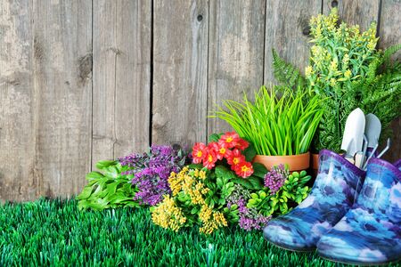 Gardening tools and flowers are on the grass near a wooden unpainted fence. Concept of gardening hobbyの写真素材