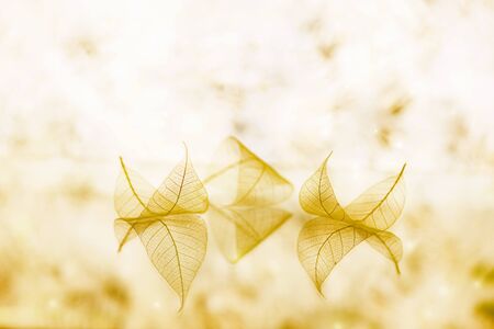 Transparent white leaves are on mirror surface with reflection on mauve background, abstract macro...