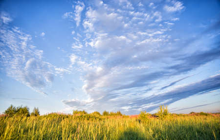 Beautiful rural landscape with blue sky with clouds on a summer morning meadow with wildflowers