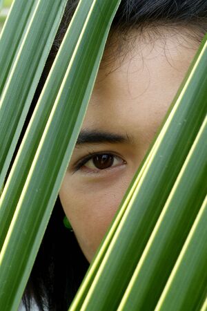 Eye of Asian beauty seen through a palm  leafの写真素材